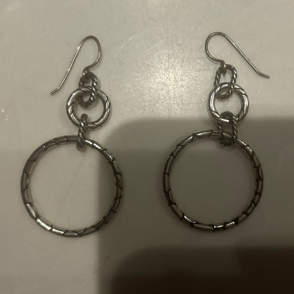 Elegant Silver Hoop Earrings